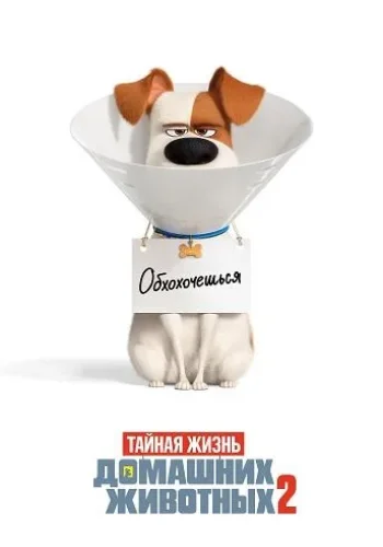Постер к фильму Тайная жизнь домашних животных 2